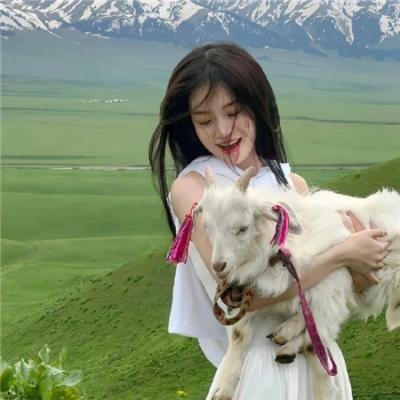 海螺小姐结婚